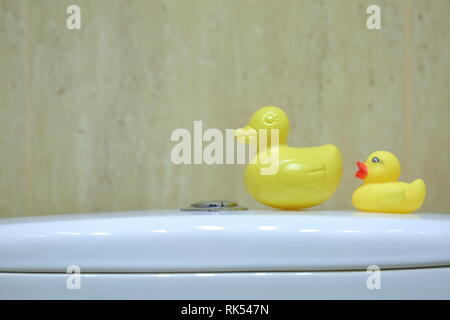 Le canard jaune comme un ajout et la décoration dans les toilettes ont été fixés sur un réservoir d'eau pour le rinçage. Banque D'Images