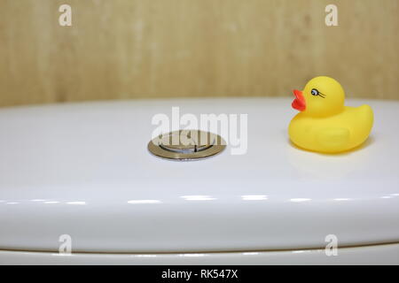 Le canard jaune comme un ajout et la décoration dans les toilettes ont été fixés sur un réservoir d'eau pour le rinçage. Banque D'Images