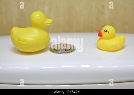 Le canard jaune comme un ajout et la décoration dans les toilettes ont été fixés sur un réservoir d'eau pour le rinçage. Banque D'Images