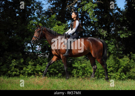 Beau modèle girl rides à cheval en bois glade au coucher du soleil Banque D'Images