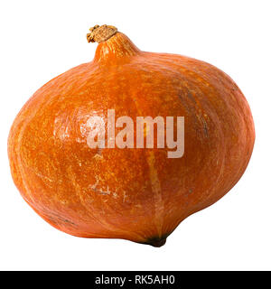 Decorative orange citrouille isolé sur fond blanc Banque D'Images