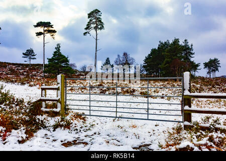 Photographie de paysage de campagne field gate entouré par la neige sur la réserve naturelle de Canford Heath, Poole, Dorset. Banque D'Images