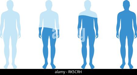 Infographie montrant le pourcentage d'eau dans le corps humain. L'équilibre de l'eau d'illustration vectorielle. Illustration de Vecteur