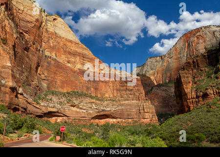 Le point de vue de Big Bend, Zion National Park, Springdale, Utah, United States. Banque D'Images