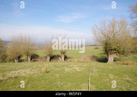 Blockley. Le Donnington façon. Le Gloucestershire. Des Cotswolds. L'Angleterre. UK Banque D'Images