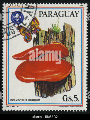 Russie KALININGRAD, 19 avril 2017 : timbres par le Paraguay, montre les champignons, vers 1986 Banque D'Images