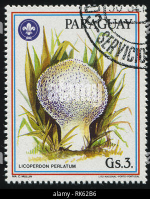 Russie KALININGRAD, 19 avril 2017 : timbres par le Paraguay, montre les champignons, vers 1986 Banque D'Images