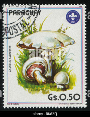 Russie KALININGRAD, 19 avril 2017 : timbres par le Paraguay, champignons, vers 1984 montre Banque D'Images