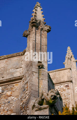 20-01-19. Thaxted, Essex, Angleterre, Royaume-Uni. Détail d'une gargouille sur l'extérieur de l'église paroissiale de St Jean le Baptiste, les travaux terminés en 1510 Banque D'Images