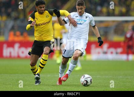 Dortmund, Allemagne. 09Th Feb 2019. firo : 09.02.2019, football, 1.Bundesliga, la saison 2018/2019, BVB, Borussia Dortmund - TSG Hoffenheim DAHOUD, BVB gauche ou de l'utilisation du crédit dans le monde entier | KRAMARIC : dpa/Alamy Live News Banque D'Images