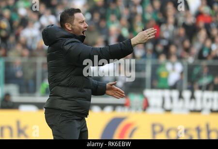 Gladbach, Deutschland. 09Th Feb 2019. firo : Football, saison 2018/2019 1.Bundesliga : Borussia VfL Mönchengladbach 09.02.2019, Gladbach - Hertha BSC Berlin Pal Dardai geste | Conditions de crédit dans le monde entier : dpa/Alamy Live News Banque D'Images