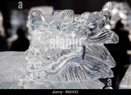 Toronto, Canada. Feb 9, 2019. Une tête de dragon chinois sculpture de glace est vu au cours de la glace et neige 2019 Markham Festival à Markham, Ontario, Canada, le 9 février 2019. Avec des dizaines de sculptures de glace faite par des artistes chinois et canadiens, l'événement de 10 jours a débuté le samedi à l'occasion pour tous les habitants de la longueur de l'hiver pour profiter des merveilles et le bonheur illimité dans un domaine unique de la glace et de la neige. Credit : Zou Zheng/Xinhua/Alamy Live News Banque D'Images
