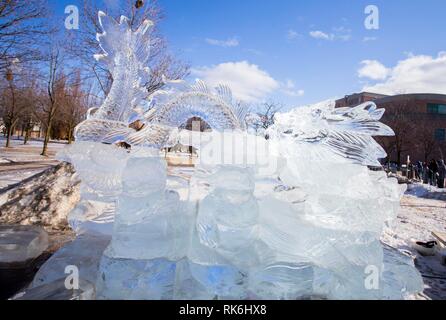 Toronto, Canada. Feb 9, 2019. Le dragon chinois et des pandas sculptures de glace sont vus au cours de la glace et neige 2019 Markham Festival à Markham, Ontario, Canada, le 9 février 2019. Avec des dizaines de sculptures de glace faite par des artistes chinois et canadiens, l'événement de 10 jours a débuté le samedi à l'occasion pour tous les habitants de la longueur de l'hiver pour profiter des merveilles et le bonheur illimité dans un domaine unique de la glace et de la neige. Credit : Zou Zheng/Xinhua/Alamy Live News Banque D'Images