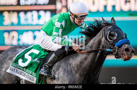 Arcadia, CA, USA. 10 fév, 2019. 09 février 2019 : Platinum guerrier avec Shane Foley remporte le San Marcos Stakes à Santa Anita Park le 09 février 2019 à Arcadia, Californie . Evers/Eclipse Sportswire/CSM/Alamy Live News Banque D'Images