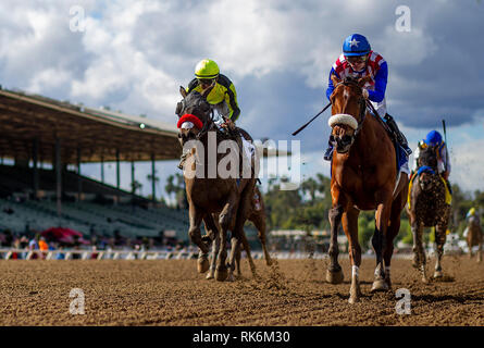 Arcadia, CA, USA. 10 fév, 2019. 09 février 2019 : Bellafina avec Flavien Prat (à droite) bat Enaya Alrabb avec Mike Smith à gagner le Las Virgenes Stakes à Santa Anita Park le 09 février 2019 à Arcadia, Californie . Evers/Eclipse Sportswire/CSM/Alamy Live News Banque D'Images