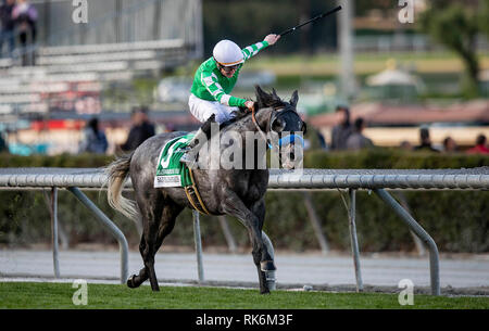 Arcadia, CA, USA. 10 fév, 2019. 09 février 2019 : Platinum guerrier avec Shane Foley remporte le San Marcos Stakes à Santa Anita Park le 09 février 2019 à Arcadia, Californie . Evers/Eclipse Sportswire/CSM/Alamy Live News Banque D'Images