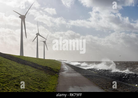 Côte néerlandaise avec les éoliennes et les vagues de tempête Banque D'Images