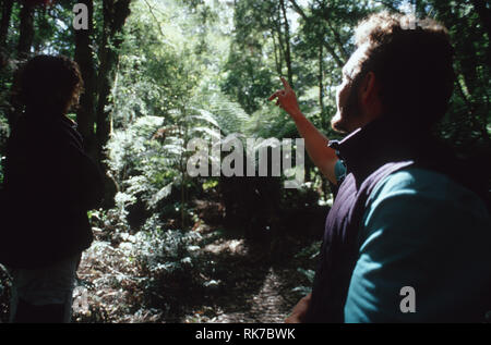 Légende : Bruny Island, Tasmanie, Australie - janvier 2003. Un guide montrant un touriste les qualités uniques d'une forêt tropicale de myrte sur Bruny Island dans le sud Banque D'Images