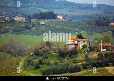 Paysage typique Tuscanian - une vue d'une villa sur une colline, allée de cyprès et une vallée de vignes à province de Sienne. La toscane, italie Banque D'Images