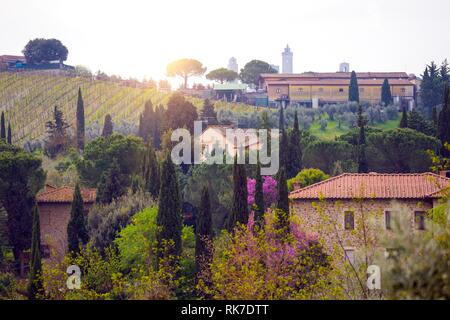 Paysage typique Tuscanian - une vue d'une villa sur une colline, allée de cyprès et une vallée de vignes à province de Sienne. La toscane, italie Banque D'Images