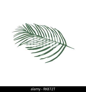 Icône Vecteur vert feuilles de palmier isolé sur fond blanc Illustration de Vecteur