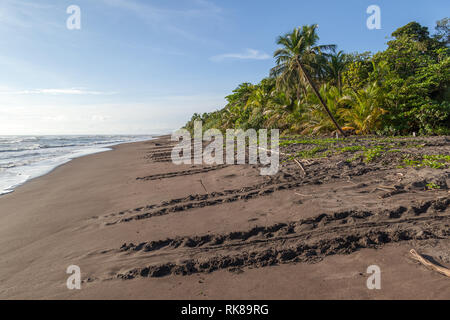 Les voies des tortues de mer sur la plage du Parc National de Tortuguero au Costa Rica Banque D'Images
