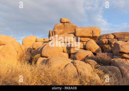 Des roches dans le parc national de Joshua Tree dans le soleil du matin, California, USA Banque D'Images