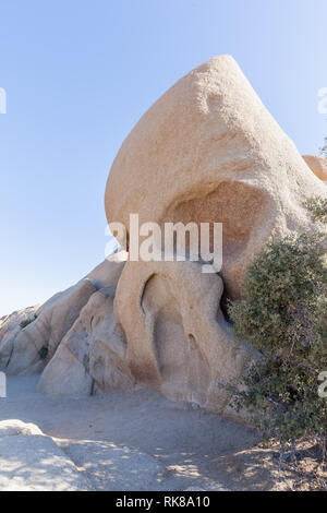 Skull Rock dans le parc national Joshua Tree, California, United States Banque D'Images