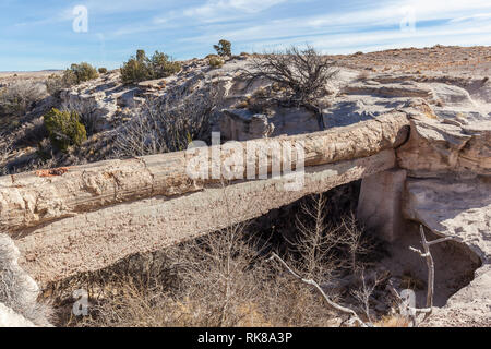 L'agate Bridge dans le Parc National de la Forêt Pétrifiée, Arizona, États-Unis. Banque D'Images