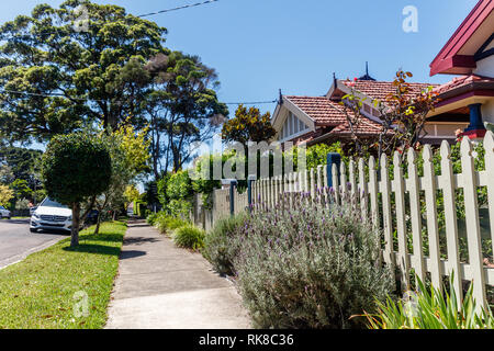 Rue de banlieue dans Naremburn, New South Wales, Sydney Banque D'Images