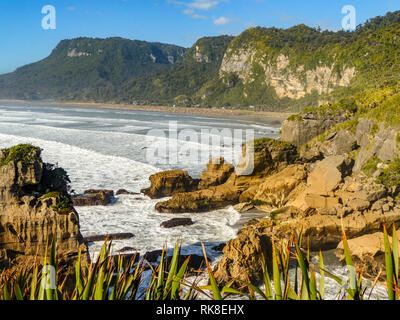 Des formations de roche de calcaire blanc et une plage de sable fin à Cathedral Cove sur la péninsule de Coromandel en Nouvelle-Zélande, île du Nord Banque D'Images