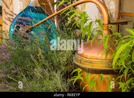 Appareils pour la rétro distillation de l'huile de lavande en Provence, France. Banque D'Images