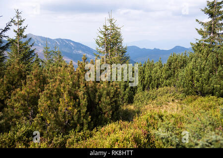 Vue depuis le mont Chopok un jour d'été, et de ski de randonnée de Jasna, Parc National des Basses Tatras, Slovaquie Banque D'Images