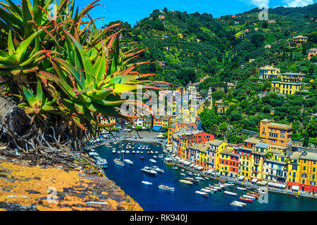 Vue majestueuse du château Brown Portofino, vieux village de pêcheurs avec une admirable et bâtiments méditerranéens colorés du port de luxe, Ligurie, Italie, Banque D'Images