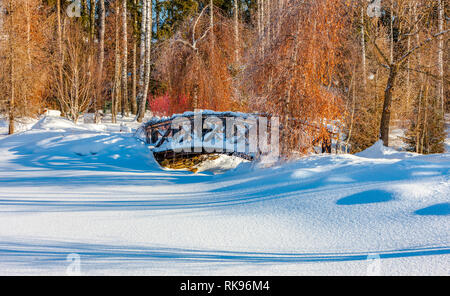 Pont de bois dans le parc d'hiver au bord du lac Banque D'Images