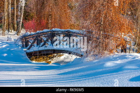 Pont de bois dans le parc d'hiver au bord du lac Banque D'Images