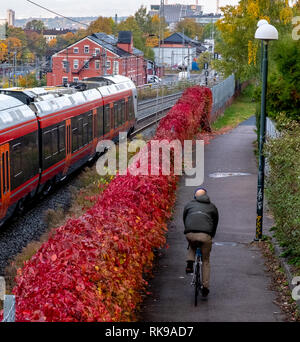 Un train de banlieue et un cycliste sur une journée d'automne à Oslo Banque D'Images