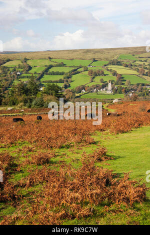 Widdecombe dans la lande Dartmoor National Park Devon, Angleterre Banque D'Images