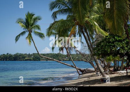 Beau littoral autour de Playa Boca del Drago sur l'Île de Colon - l'archipel de Bocas del Toro, PANAMA Banque D'Images