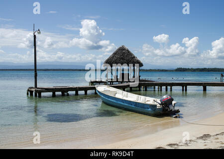 Beau littoral autour de Playa Boca del Drago sur l'Île de Colon - l'archipel de Bocas del Toro, PANAMA Banque D'Images