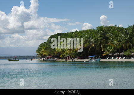 Starfish Beach sur l'Île de Colon - l'archipel de Bocas del Toro, PANAMA Banque D'Images