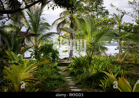 Chemin dans un magnifique jardin tropical luxuriant sur l'île de San Cristobal - l'archipel de Bocas del Toro, PANAMA Banque D'Images