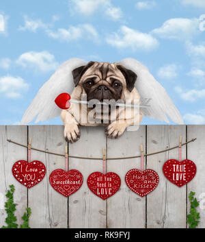 Cute puppy dog pug avec ailes d'ange cupidon et sa flèche, hanging on clôture avec coeurs en bois avec texte d'amour, ciel bleu Banque D'Images