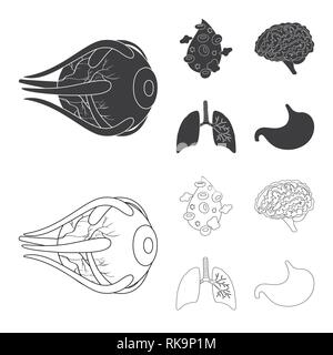 Globe oculaire,,sang,le cerveau,Poumon Estomac,oeil,esprit,plasma,trachée,tube,cornée,cell,,renseignement,pulmonaire,couches,gastrique,science,capot,la douleur,l'artère,structure,don,psychologie,respiratoire,vue,corps,maladie,genius,Protection,système,biologie,scientifique,recherche,laboratoire,Anatomie interne d'organes,médical,des,santé,,set,icône,,illustration,collection,isolé,design,graphisme,élément vecteur vecteurs,signer , Illustration de Vecteur