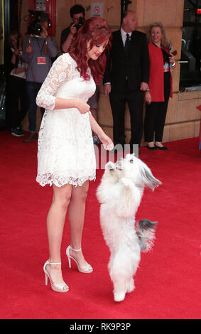 Pudsey et Ashleigh Butler assister à Pudsey le chien : Le film en première mondiale au cinéma Vue à Leicester Square, Londres Banque D'Images