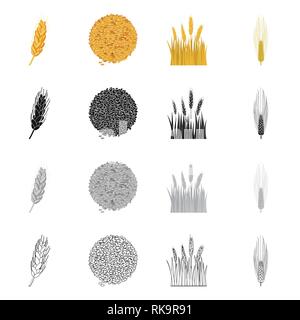 L'orge de printemps,spike,graines,dur,Culture,hiver,farine,terre, pain, céréales,graines,maïs,oreille,son,campagne,,golden,automne,venu,alimentation,or,rural,agriculture,avoine seigle,agriculture,plantes,blé,maïs,grain,récolte,ferme,,champ,set,icône,,illustration,collection,isolé,design,graphisme,élément,signe, vecteurs vecteur , Illustration de Vecteur