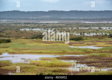 Une large vue sur les marais de la rive ouest du lac du parc St Lucia dans la zone humide d'Isimangaliso, Afrique du Sud Banque D'Images