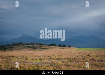 Une plaine herbeuse et brumeux des montagnes au loin, illuminée par le soleil de fin de soirée. Drakensberg, Afrique du Sud Banque D'Images