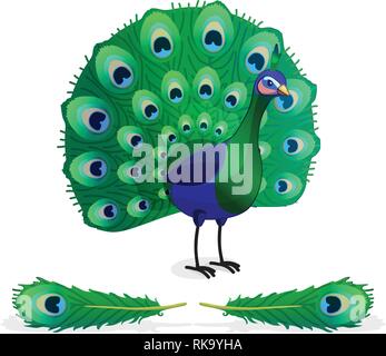 Vector cartoon animal : clipart peacock dynamique Illustration de Vecteur