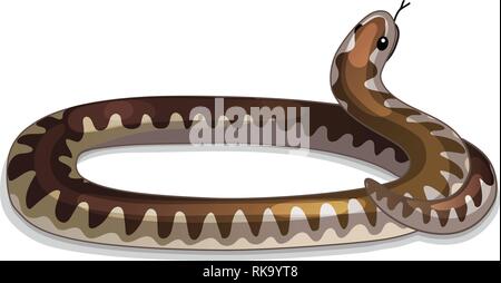Vector cartoon animal : serpent vipère enroulée clipart Illustration de Vecteur